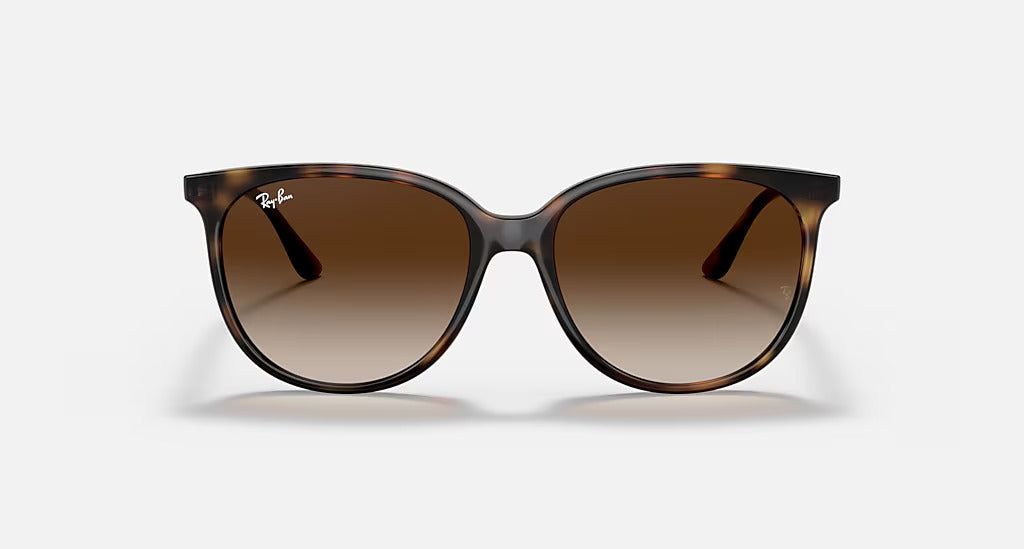 Ray Ban RB4378