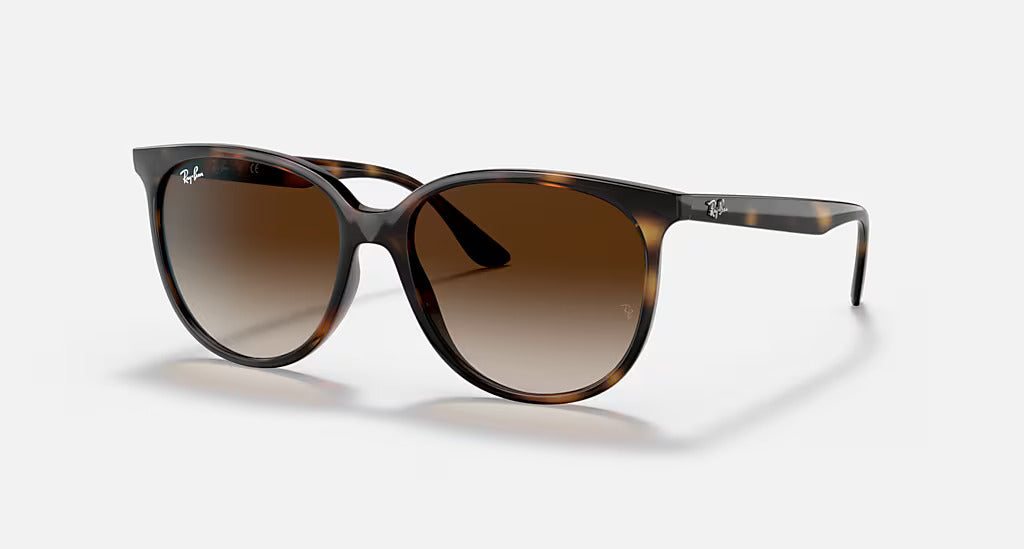 Ray Ban RB4378