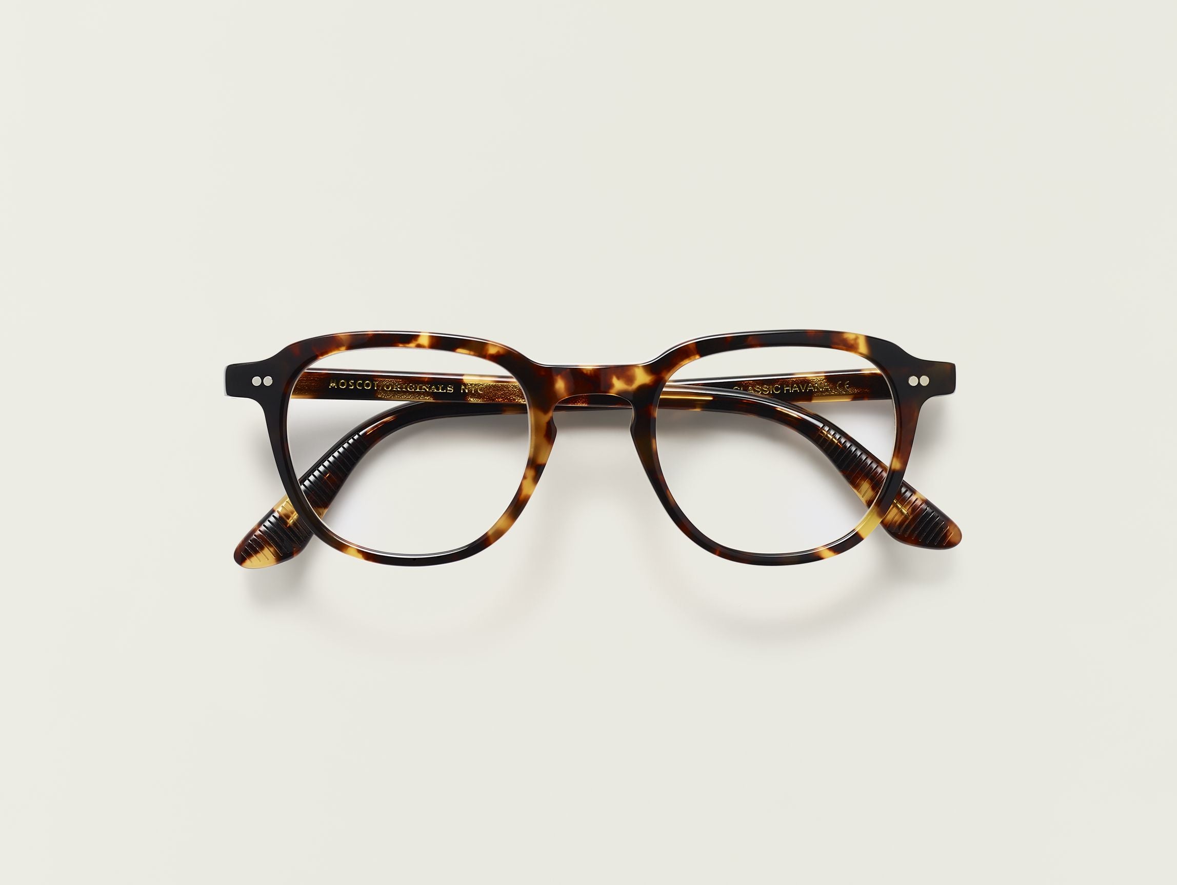 Moscot Bilik Tortoise