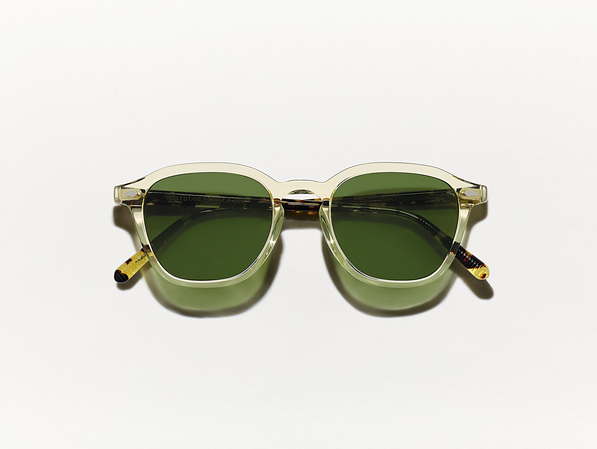 Moscot Vantz Citron Tortoise